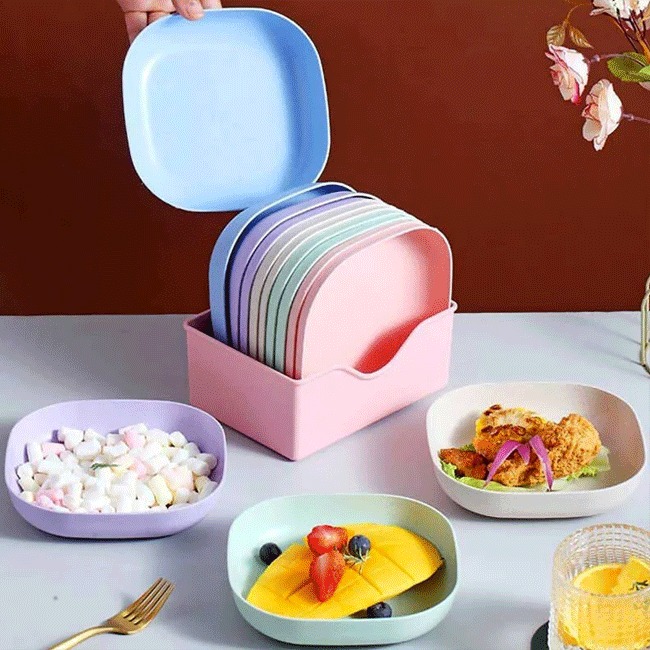 10 Pis Square Dinner Plates With Holder